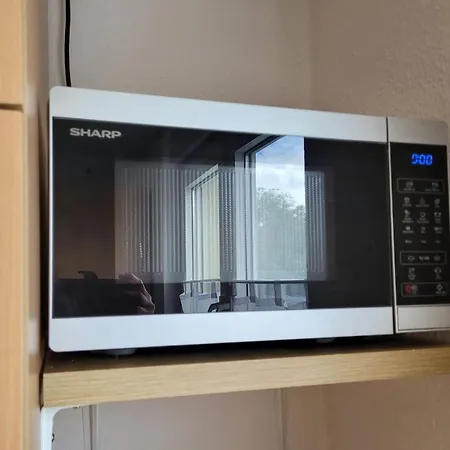 Am Luisium - Und Bauhaus Nah Appartement