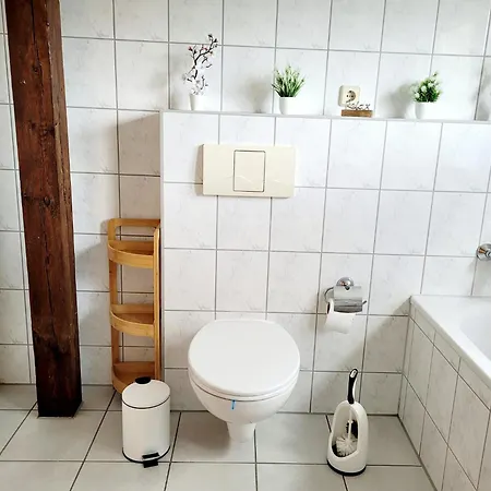 Am Luisium - Und Bauhaus Nah