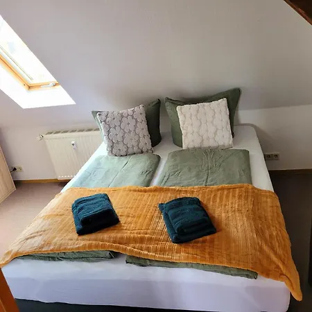 Am Luisium - Und Bauhaus Nah Appartement *