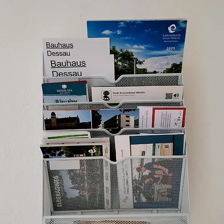 Am Luisium - Und Bauhaus Nah