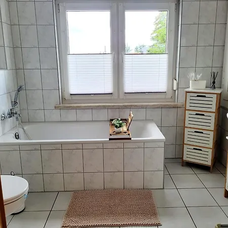 Am Luisium - Und Bauhaus Nah Appartement