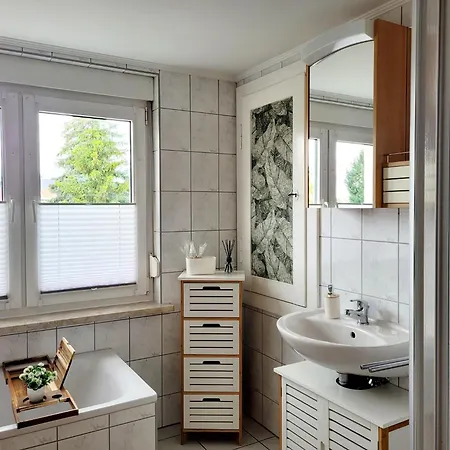 Am Luisium - Und Bauhaus Nah Appartement *