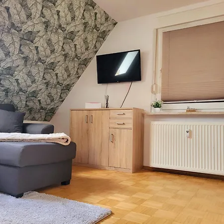 Am Luisium - Und Bauhaus Nah