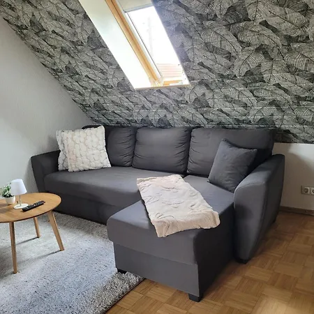 Am Luisium - Und Bauhaus Nah